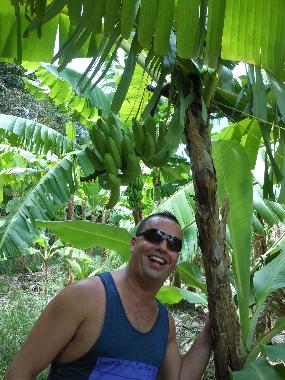 Guest Enoying the Garden