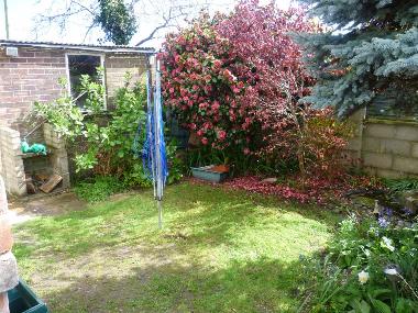Back garden