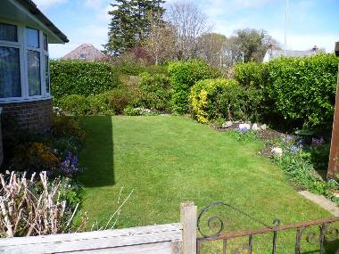 Side of garden from back