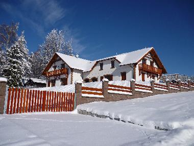 Villa in Lipno nad Vltavou (Budejovicky Kraj) or holiday homes and vacation rentals