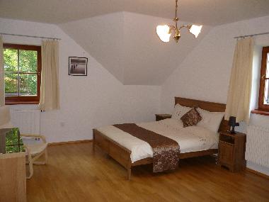 Villa in Lipno nad Vltavou (Budejovicky Kraj) or holiday homes and vacation rentals