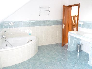 Villa in Lipno nad Vltavou (Budejovicky Kraj) or holiday homes and vacation rentals