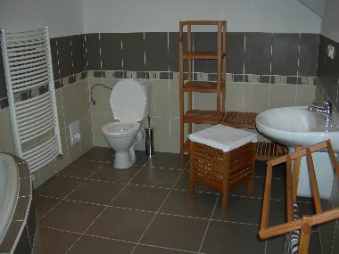 Villa in Lipno nad Vltavou (Budejovicky Kraj) or holiday homes and vacation rentals