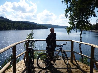 Villa in Lipno nad Vltavou (Budejovicky Kraj) or holiday homes and vacation rentals