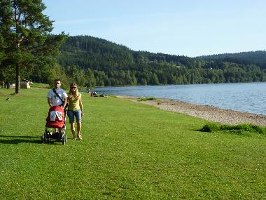 Villa in Lipno nad Vltavou (Budejovicky Kraj) or holiday homes and vacation rentals
