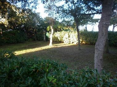 garden on the beach side