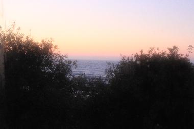 view from the garden