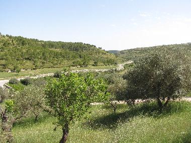 Villa in n/a (Ragusa) or holiday homes and vacation rentals