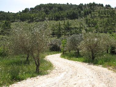 Villa in n/a (Ragusa) or holiday homes and vacation rentals