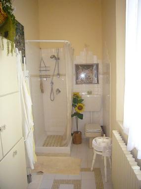 Villa in San Felice sul Panaro (Modena) or holiday homes and vacation rentals