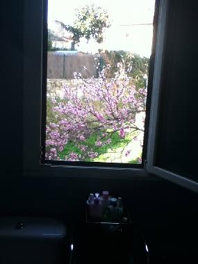 Holiday Apartment in Santiago compostela (A Corua) or holiday homes and vacation rentals