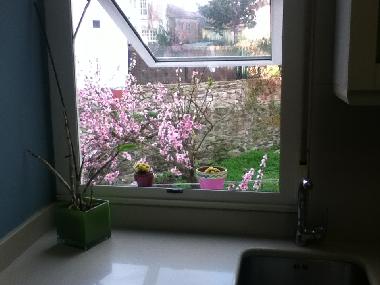 Holiday Apartment in Santiago compostela (A Corua) or holiday homes and vacation rentals