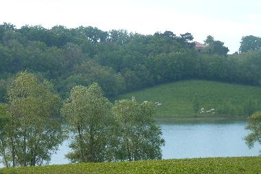 Holiday House in LAVIT DE LOMAGNE (Tarn-et-Garonne) or holiday homes and vacation rentals