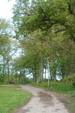 Holiday House in LAVIT DE LOMAGNE (Tarn-et-Garonne) or holiday homes and vacation rentals