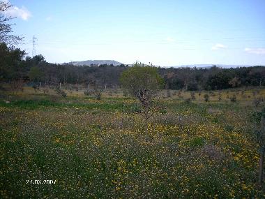 Holiday Apartment in Apt (Vaucluse) or holiday homes and vacation rentals