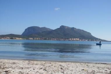 Holiday Apartment in GOLFO ARANCI - BAIA CADDINAS (Olbia-Tempio) or holiday homes and vacation rentals
