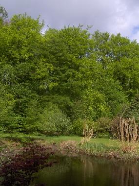 Holiday Apartment in Todenbttel (Binnenland) or holiday homes and vacation rentals