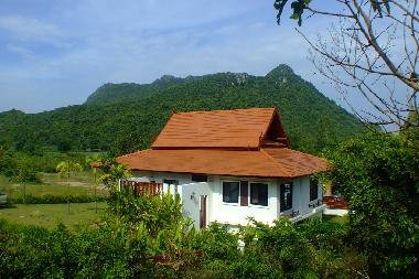 Mountain Breeze Villa - Villa and garden
