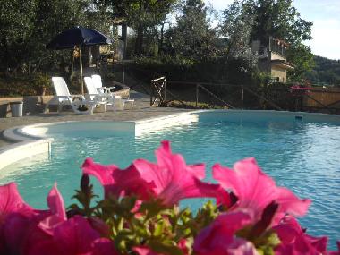 Holiday Apartment in Poggibonsi (Siena) or holiday homes and vacation rentals