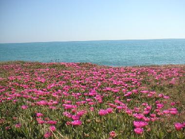 Holiday House in Scicli (Ragusa) or holiday homes and vacation rentals