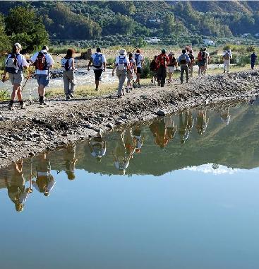 Holiday House in Salobrea (Granada) or holiday homes and vacation rentals