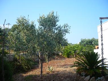 Villa in SALVE (Lecce) or holiday homes and vacation rentals