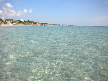 Torre Guaceto marine reserve