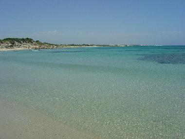 Torre Guaceto marine reserve