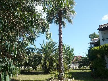 Holiday House in Argyrades (Kerkyra) or holiday homes and vacation rentals