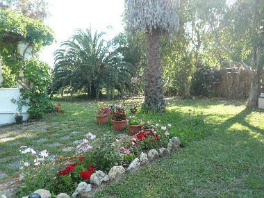 Holiday House in Argyrades (Kerkyra) or holiday homes and vacation rentals