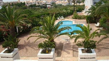 Holiday Apartment in torrevieja (Alicante / Alacant) or holiday homes and vacation rentals