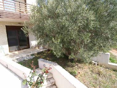 Holiday House in Nikiti (Chalkidiki) or holiday homes and vacation rentals