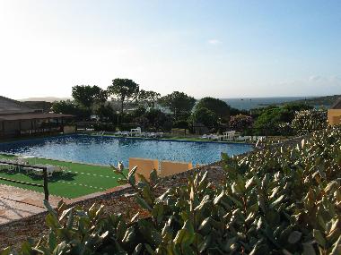The swimming pool