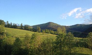 Holiday Apartment in Elzach-Yach (Black Forest) or holiday homes and vacation rentals