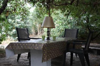 Holiday Apartment in El Palmar de Vejer (C�diz) (C�diz) or holiday homes and vacation rentals