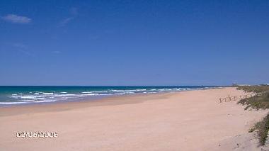 Holiday Apartment in El Palmar de Vejer (C�diz) (C�diz) or holiday homes and vacation rentals