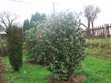 Holiday Apartment in saint jean du corail des bois (Manche) or holiday homes and vacation rentals