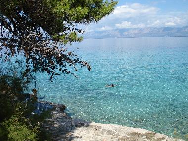 The cristal clear waters of the Adriatic
