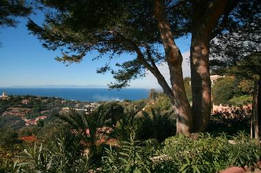 Villa in Torre delle Stelle  (Cagliari) or holiday homes and vacation rentals