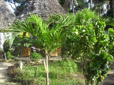 Garden_House 1