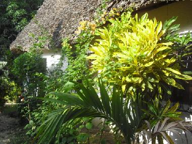 Garten_House 1