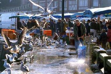 Villa in le tr�port (Seine-Maritime) or holiday homes and vacation rentals