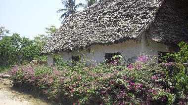 House 3