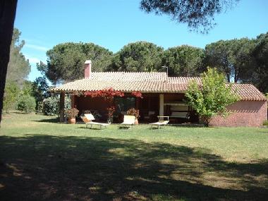 Holiday House in Baja Sardinia (Gallura ) or holiday homes and vacation rentals