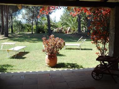 Holiday House in Baja Sardinia (Gallura ) or holiday homes and vacation rentals