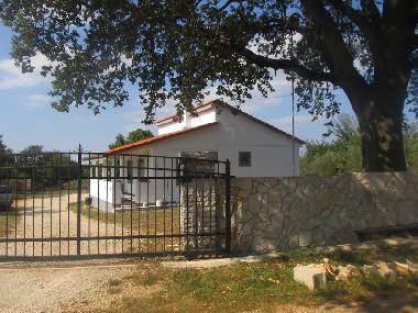 Villa in Svetvincenat (Istarska) or holiday homes and vacation rentals