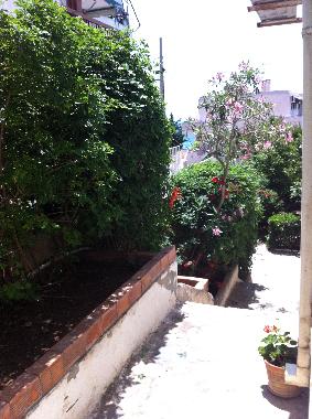 the view from the balcony