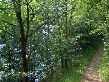 Holiday Apartment in Manderfeld (Wallonia) or holiday homes and vacation rentals