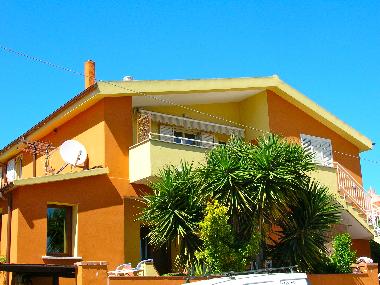 Bright & coloured house