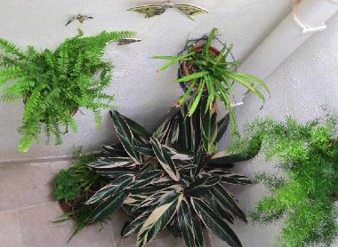 Holiday House in Haz-Zebbug (Malta) or holiday homes and vacation rentals